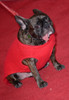 Carrie Fisher'S Dog Gary Fisher At Arrivals For Tribeca Tune In Catastrophe Season 2 Screening At 2016 Tribeca Film Festival, The School Of Visual Arts Theatre, New York, Ny April 19, 2016. Photo By Derek StormEverett Collection - Item # VAREVC1619A0