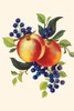 Peaches and blueberries.  In the 1930's the classic homemaker could purchase decals, applied by water, to decorate the kitchen, furniture, or anything else they desired.  These are samples directly from the salesman's sample book. Poster Print by unk