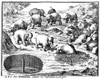 Elephant Hunt, 1719. /Ntraps Dug By Khoikhoi ('Hottentot') In South Africa To Catch Elephants. Line Engraving From An English Edition, 1731, Of Peter Kolb'S 'The Present State Of The Cape Of Good Hope,' First Published In Germany, 1719. Poster Print