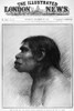 Piltdown Man, 1912. /Na Reconstruction Of The Piltdown Man (Here Called Sussex) From The Original Publication In Illustrated London News, 28 December 1912. The Piltdown Man Was Later Found To Be A Hoax. Poster Print by Granger Collection - Item # VAR