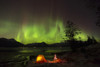 View of the Aurora Borealis dancing above the Chugach Mountains with a backpacking tent and Christmas Tree along the shore of Turnagain Arm, Kenai Peninsula, Southcentral, Alaska, Winter Poster Print by Lucas Payne / Design Pics - Item # VARDPI122708