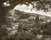 Mount Of Olives. /Nview Of The Garden Of Gethsemane And The Mount Of Olives, With The Church Of All Nations (Right) And The Russian Orthodox Church Of Saint Mary Magdalene (Top), East Jerusalem. Photograph, C1924-34. Poster Print by Granger Collectio
