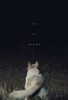 It Comes at Night Movie Poster (11 x 17) - Item # MOVEB00555