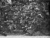 http://c328301.r1.cf1.rackcdn.com/GRC0125615LARGE.jpg