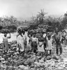 Jamaica: Bananas, C1900. /Nwomen And Children Carrying Bananas On Their Heads, Accompanied By A Man With Banana Leaves On His Head, On Their Way To The Market, Jamaica, West Indies. Stereograph, C1900. Poster Print by Granger Collection - Item # VARG