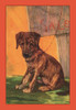 Dog for sale.  High quality vintage art reproduction by Buyenlarge.  One of many rare and wonderful images brought forward in time.  I hope they bring you pleasure each and every time you look at them. Poster Print by Diana Thorne - Item # VARBLL0587