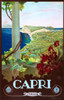 One of a series produced by the Italian Tourist Bureau often in cooperation with the Italian State Railway System.  Shows an idyllic landscape of the Italian island of Capri from artist Mario Borgoni. Poster Print by Mario Borgoni - Item # VARBLL0587