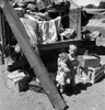 Migrant Camp, 1939. /Nchildren Of Migrant Workers Residing In 'Rambler'S Park,' After Living On The Road For Three Years, Yakima Valley, Washington State. Photograph By Dorothea Lange, August 1939. Poster Print by Granger Collection - Item # VARGRC01