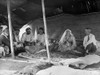 Aref Al-Aref (1892-1973). /Npalestinian Journalist, Historian And Politician. Al-Aref (Second From Right) With A Group Of Bedouin Sheikhs And American Businessman, Photographer And Author John D. Whiting At Far Right. Photograph, 1932. Poster Print b