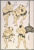 Sumo Wrestlers, 1817. /Njapanese Sumo Wrestlers Preparing For A Match. Tying The Sash, Trying Out The 'Defensive Posture,' And 'Stamping The Feet.' Woodblock Print, 1817, By Hokusai For His 'Manga,' Or Ten Thousand Sketches. Poster Print by Granger C