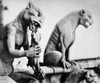 Notre Dame: Gargoyles. /Ngargoyles On The Roof Of Notre Dame Cathedral In Paris, France, Dating To Eugene Viollet-Le-Duc'S Restoration Of The Cathedral In The Mid-19Th Century. Photograph, Mid-20Th Century. Poster Print by Granger Collection - Item #