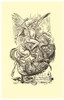 http://c328301.r1.cf1.rackcdn.com/BLL058740681X.jpg