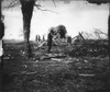 Civil War: Bull Run, 1861. /Nruins Of Mrs. Judith Henry'S House At Bull Run, Virginia. Photographed In March 1862 By George N. Barnard Following The Evacuation Of Centreville And Manassas By Confederate Troops After The First Battle Of Bull Run. Post