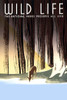 Wild life The national parks preserve all life. Poster for National Park Service, showing a deer drinking from a stream in the forest.   NYC : NYC Art Project, Works Projects Administration, [between 1936 and 1940] Poster Print by Frank S. Nicholson