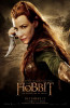 The Hobbit The Desolation of Smaug Movie Poster (11 x 17) - Item # MOVGB32835