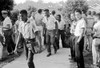 School Desegregation, 1956. /Nblack Students Walking Through A Crowd Of White Boys In Clinton, Tennessee, During A Period Of Violence Related To School Integration, 4 December 1956. Photographed By Thomas J. O'Halloran. Poster Print by Granger Collec