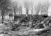 Edgar Allen Farm, 1936. /Nworkers Hauled Old Stumps From Highway Construction For Winter Fuel Supply, Being Too Poor To Buy Fuel, Near Miford, Iowa. Photographed By Russell Lee In December, 1936. Poster Print by Granger Collection - Item # VARGRC0106