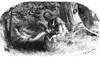 Longfellow: Hiawatha. /Nthe Song Of Hiawatha By Henry Wadsworth Longfellow. The Infant Hiawatha With His Grandmother, Nokomis. Wood Engraving From A 19Th Century Edition Of The Poem Illustrated By Felix O.C. Darley. Poster Print by Granger Collection