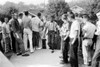School Desegregation, 1956. /Na Black Student Walking Through A Crowd Of White Boys In Clinton, Tennessee, During A Period Of Violence Related To School Integration, 4 December 1956. Photographed By Thomas J. O'Halloran. Poster Print by Granger Colle