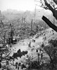 Tokyo Earthquake, 1923. /Nhalf Of Tokyo, Japan, In Ruins After The Fire Which Followed The Earthquake Of 1 September 1923. View From Uyeno Station Looking Towards The Center Of The City. Photograph. Poster Print by Granger Collection - Item # VARGRC0