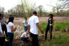 First Lady Michelle Obama Helps Plant Trees At The Kenilworth Aquatic Gardens In Washington D.C. After President Obama Signed The Edward M. Kennedy Serve America Act. Michelle Wears A Multi-Colored Lanvin Top. April 21 2009. History ( - Item # VAREVC