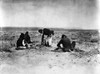 Navajo Ceremony, C1905. /Nfour Navajo Men Preparing Hot Embers And Covering Them With Brush And Weeds, Preparing A Sweat Area As Part Of The Yeibichai Ceremony. Photograph By Edward Curtis, C1905. Poster Print by Granger Collection - Item # VARGRC011