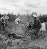 Farm Family, 1939. /Na Family Gathering Debris, Roots And Chunks From The Field To The Stump Pile For Burning In Thurston County, Michigan Hill, Washington State. Photograph By Dorothea Lange, August 1939. Poster Print by Granger Collection - Item #