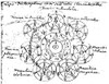 Alchemy: Isaac Newton /N(1642-1727). English Physicist And Mathematician. Sir Isaac Newton'S Copy Of A Diagram Of The 'Philosopher'S Stone', Once Sought By Alchemists In The Belief That It Would Change Base Metals Into Gold Or Silver. Poster Print by