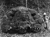 Guatemala: Quirigua. /Nmayan Memorial Stone Known As Zoomorph P, Dedicated In 795 A.D. By Sky Xul, At Quirigua, Guatemala, Before Cleaning. At Right Is American Archaeologist Sylvanus G. Morley. Photograph, 1910. Poster Print by Granger Collection -