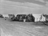 Migrant Camp, 1937. /Nforty Families Of Migrant Farmers From The Dust Bowl, Camped Near Pea Fields Along A Country Road Near Calipatria, California, Waiting For Work. Photograph By Dorothea Lange, March 1937. Poster Print by Granger Collection - Item