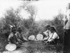 Ojibwa Game, C1910. /Nfour Ojibwa Native American Men Playing A Moccasin Game, In Which Participants Guess The Location Of A Marked Bullet, On The White Earth Reservation In Northern Minnesota. Photographed By Frances Densmore, C1910. Poster Print by