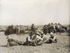 Texas: Cowboys, C1906. /Nseveral Cowboys Seated On The Ground While Playing A Game Of Mumblety Peg During A Work Break At The Turkey Track Ranch In Texas. Photograph By Erwin Evans Smith, C1906. Poster Print by Granger Collection - Item # VARGRC01249 Texas: Cowboys, C1906. /Nseveral Cowboys Seated On The Ground While Playing A Game Of Mumblety Peg During A Work Break At The Turkey Track Ranch In Texas. Photograph By Erwin Evans Smith, C1906. Poster Print by Granger Collection - Item # VARGRC01249