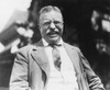 Theodore Roosevelt /N(1858-1919). 26Th President Of The United States. Photographed At Oyster Bay In 1912 Shortly After His Nomination By The New Progressive Party As Their Presidential Candidate. Poster Print by Granger Collection - Item # VARGRC000