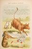 Hey Diddle Diddle from Old Mother Goose's Rhymes and Tales. Illustrated by Constance Haslewood. Published by Frederick Warne & Co London and New York circa 1890s. Chromolithography by Emrik & Binger of Holland Poster Print by Hilary Jane Morgan / Des