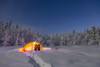 A glowing tent covered in string lights sits in the middle of an snowy spruce forest, snowshoes in the deep snow outside the tent, moonlight casting shadows on a clear winter night, interior Alaska; Gakona, Alaska, United States of America Poster Pri