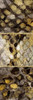 http://c328301.r1.cf1.rackcdn.com/PDXSE130ASMALL.jpg
