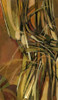 http://c328301.r1.cf1.rackcdn.com/PDXPA465ALARGE.jpg