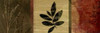 http://c328301.r1.cf1.rackcdn.com/PDXPA018ALARGE.jpg