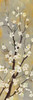 http://c328301.r1.cf1.rackcdn.com/PDXJSN37LARGE.jpg