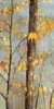http://c328301.r1.cf1.rackcdn.com/PDXPRS02SMALL.jpg