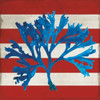 http://c328301.r1.cf1.rackcdn.com/PDXPU132ALARGE.jpg