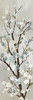 http://c328301.r1.cf1.rackcdn.com/PDXPX070ASMALL.jpg