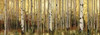 http://c328301.r1.cf1.rackcdn.com/PDXPRS61SMALL.jpg