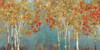 http://c328301.r1.cf1.rackcdn.com/PDXPRS67LARGE.jpg