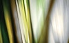 http://c328301.r1.cf1.rackcdn.com/PDXPA070ALARGE.jpg
