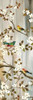 http://c328301.r1.cf1.rackcdn.com/PDXJSN60SMALL.jpg