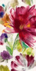 http://c328301.r1.cf1.rackcdn.com/PDXJSN90SMALL.jpg