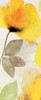 http://c328301.r1.cf1.rackcdn.com/PDXWSN01MLARGE.jpg