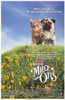 Milo and Otis Movie Poster (11 x 17) - Item # MOV254828