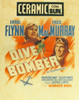 Dive Bomber Movie Poster Print (27 x 40) - Item # MOVAH5741
